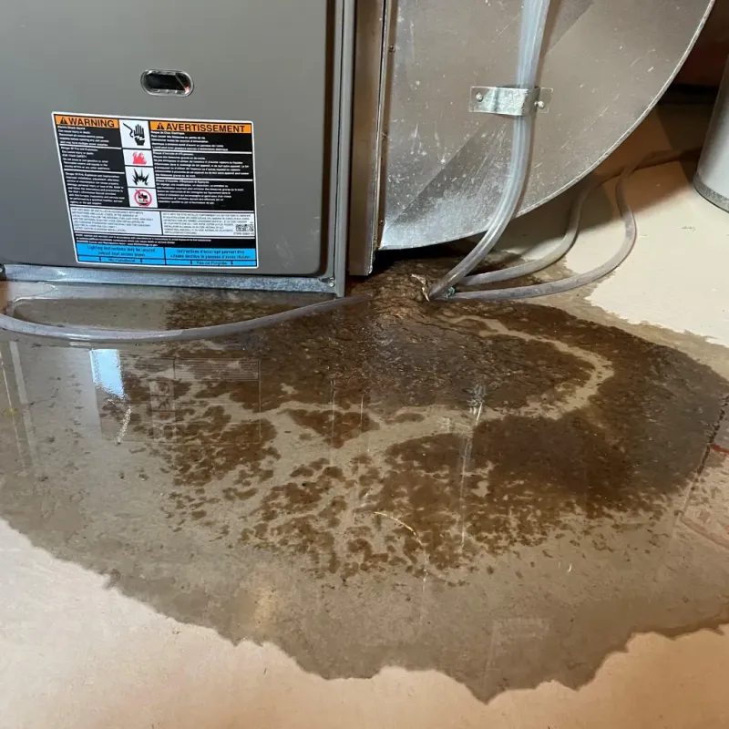 Appliance Leak Cleanup in Valley Hill, NC